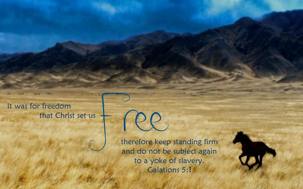 Image result for he who the son sets free kjv